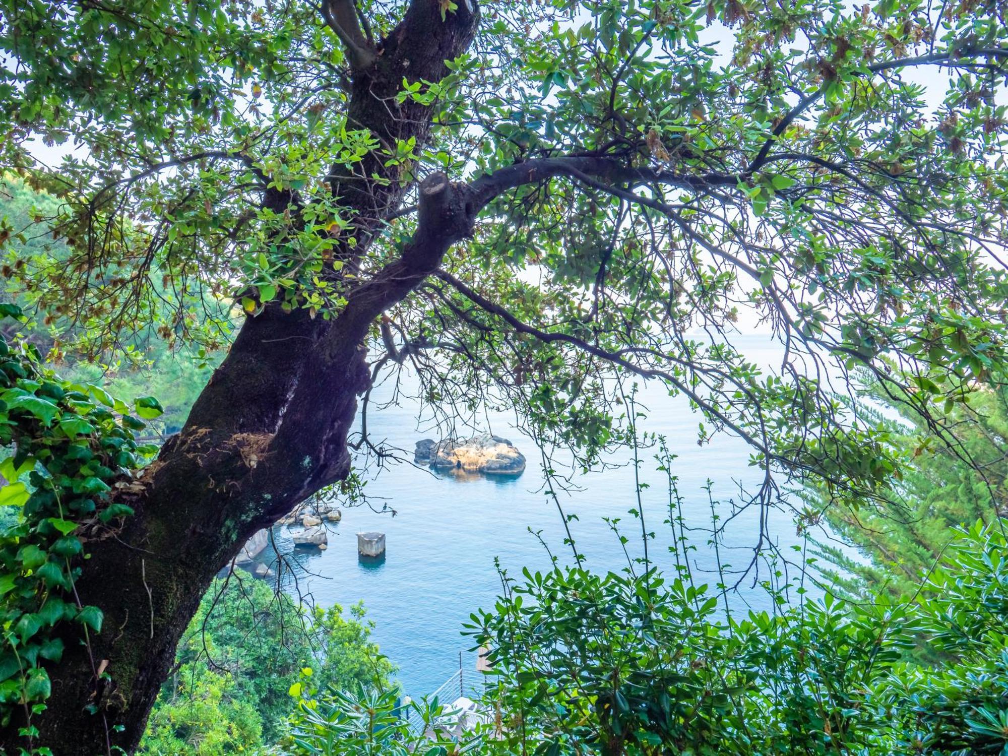 Hotel Il Nido Tellaro Buitenkant foto